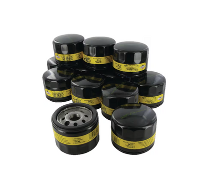 12 x Ölfilter Original Briggs & Stratton 76x57mm 492932S