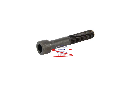 SA15593 Schraube Sabo Rasebmäher